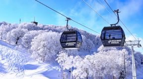 野沢温泉スキー場　2021-22早割シーズン券申込みスタート
